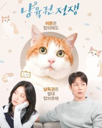 Cuộc Chiến Giành Quyền Nuôi Mèo